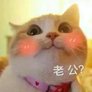 最新撩老公攻略,打造甜蜜關(guān)系的秘訣