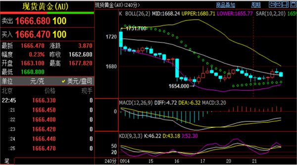 黃金現(xiàn)貨實時行情最新解析,入門指南與操作步驟全解析
