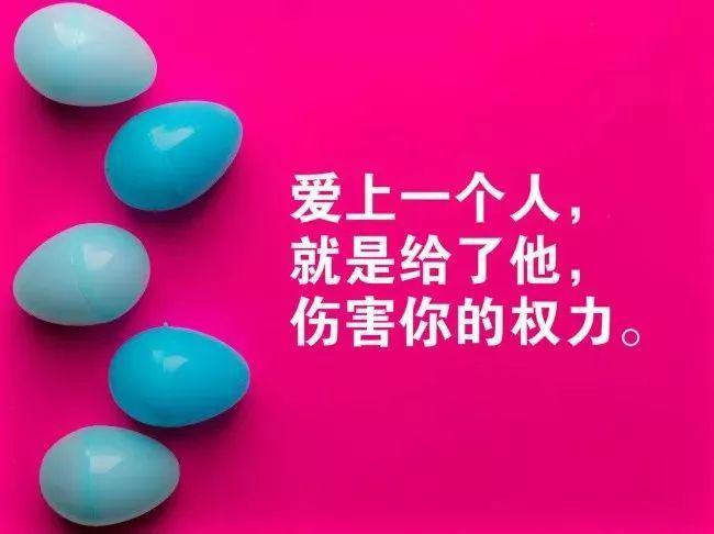 精彩音樂匯2025最新回顧，聆聽時代之音