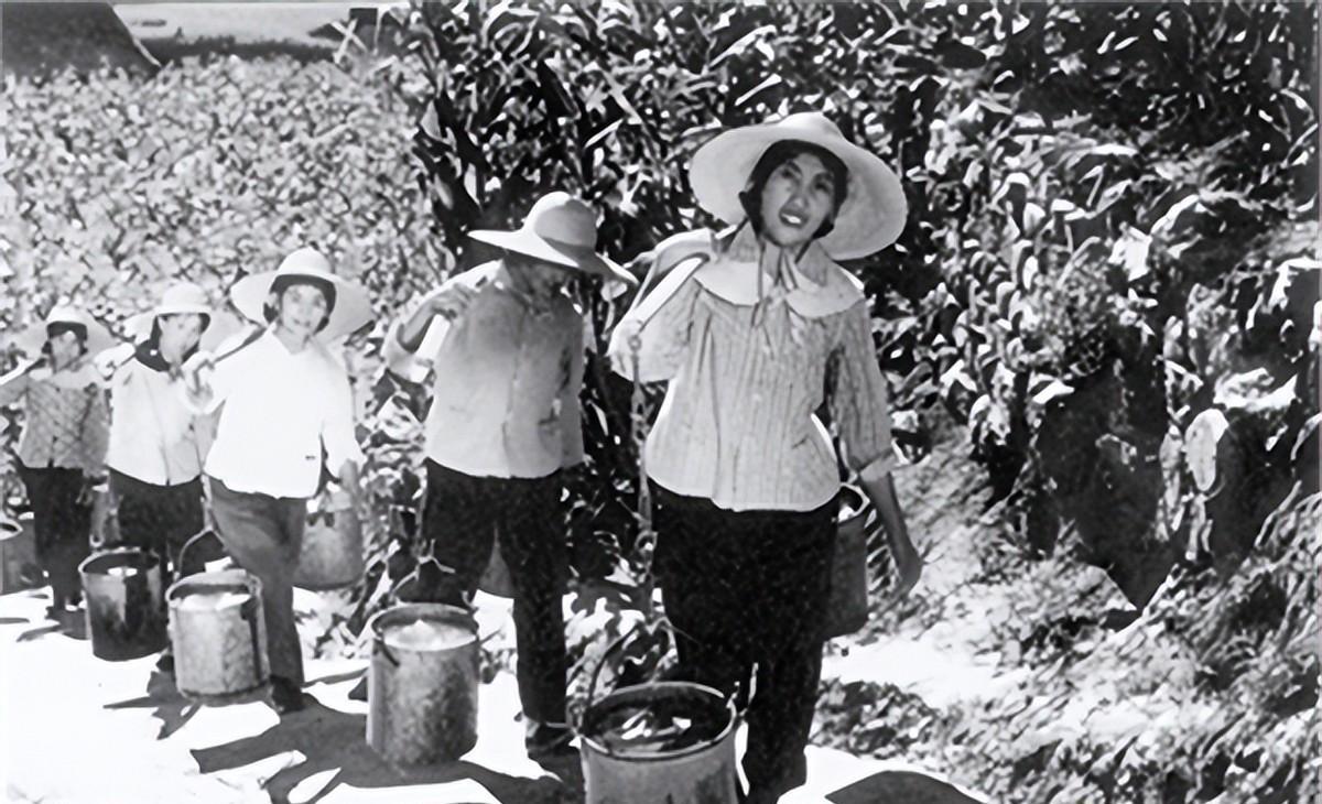 十大最新創(chuàng)業(yè)領(lǐng)域,點燃激情,開啟無限可能之旅