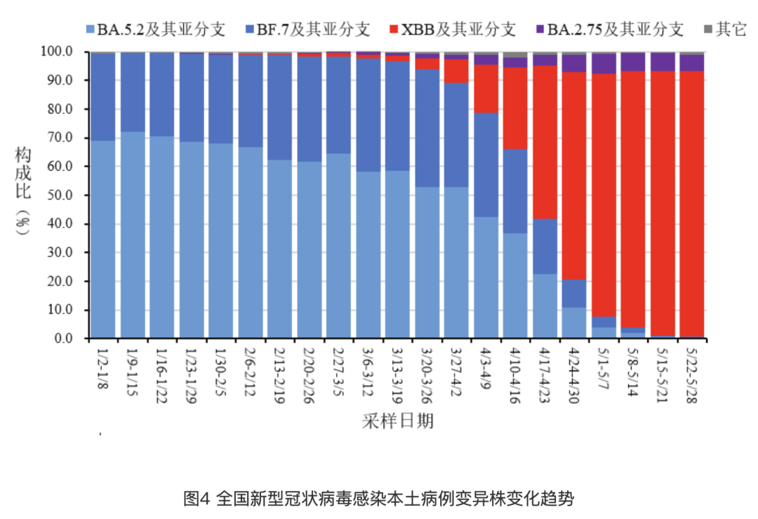 全國最新冠肺炎疫情數(shù)據(jù),變化中的力量與希望之光