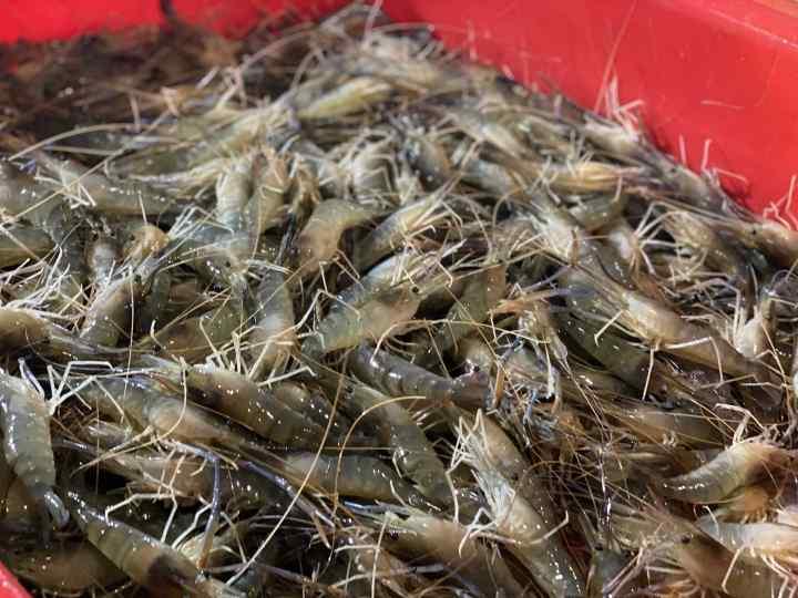 最新杭州來女士找到,科技助力重塑生活軌跡之謎解揭曉