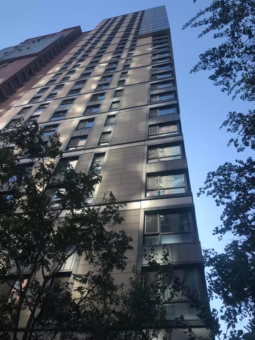 石家莊高校最新排名探索,學府秘境與隱藏小店的探索之旅