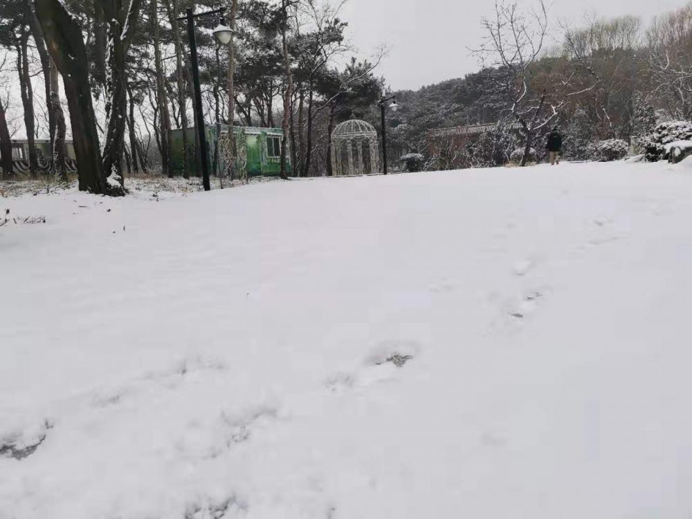 臨沂氣象臺發布最新信息,溫暖小報傳遞關懷