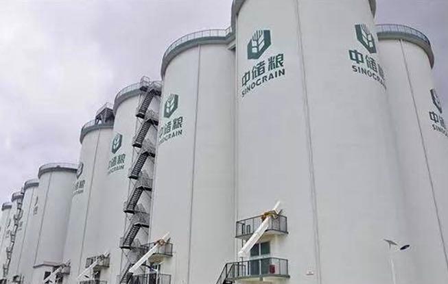 最新疫情動(dòng)態(tài)下的全球探索與輕松自然之旅