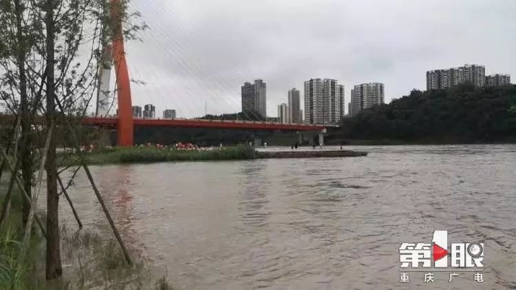 重慶潼南漲水最新視頻,揭秘水情,關注要點速遞