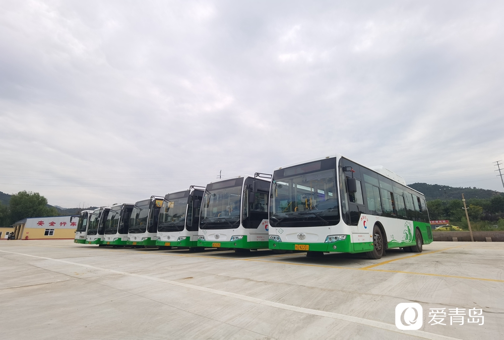 青島公交最新動態,一路相伴的溫馨日常