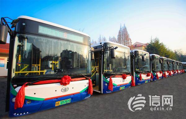 青島公交最新動(dòng)態(tài),一路相伴的溫馨日常