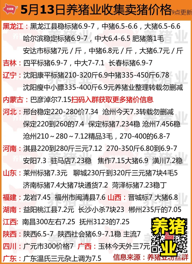 最新生豬價格全面指南,今日生豬價步驟解析