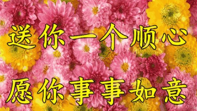 健健康康最新版，小巷中的隱藏寶藏，獨特環境小店之旅探索