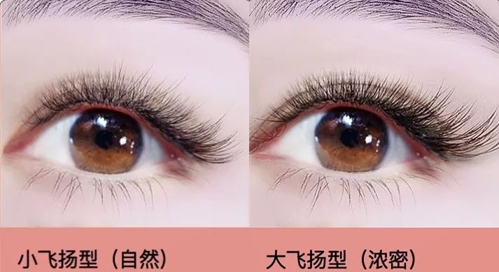 最新自然睫毛款式詳解與打造自然迷人眼妝的步驟指南