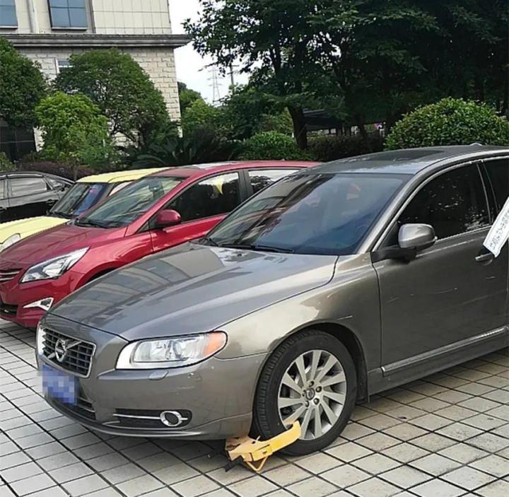 岳陽市最新失信人名單公布，背景、事件及影響揭秘