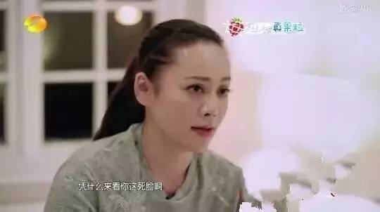 寧靜最新采訪視頻，深度探討與洞察獨家報道