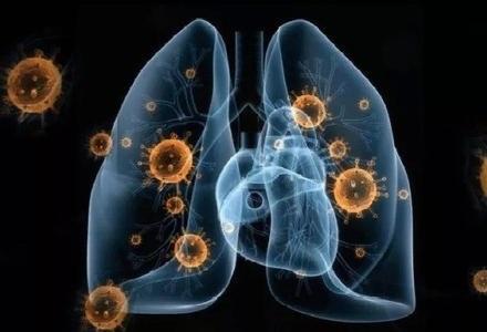 新冠肺炎最新動態疫情,背景、進展與影響概述