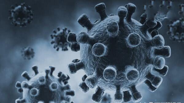 全球病毒死亡人數最新統計概況