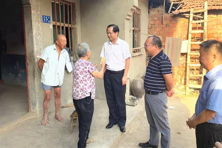 生態扶貧最新政策深度解讀,探尋綠色寶藏的小巷之旅