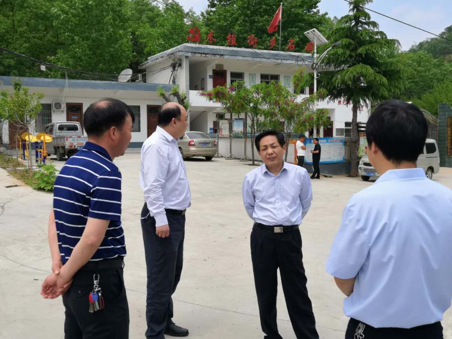 生態扶貧最新政策深度解讀,探尋綠色寶藏的小巷之旅