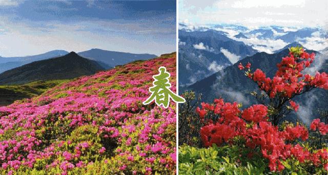 惠州海如花園,時代璀璨明珠,最新力作呈現