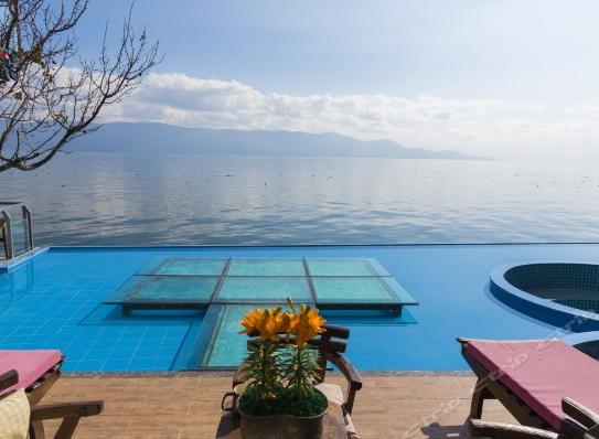 蒼山大蒜頭最新價(jià)格，一場(chǎng)自然美景與美食的旅行探索