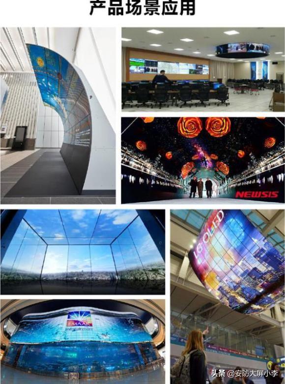 蒼山大蒜頭最新價(jià)格,一場(chǎng)自然美景與美食的旅行探索