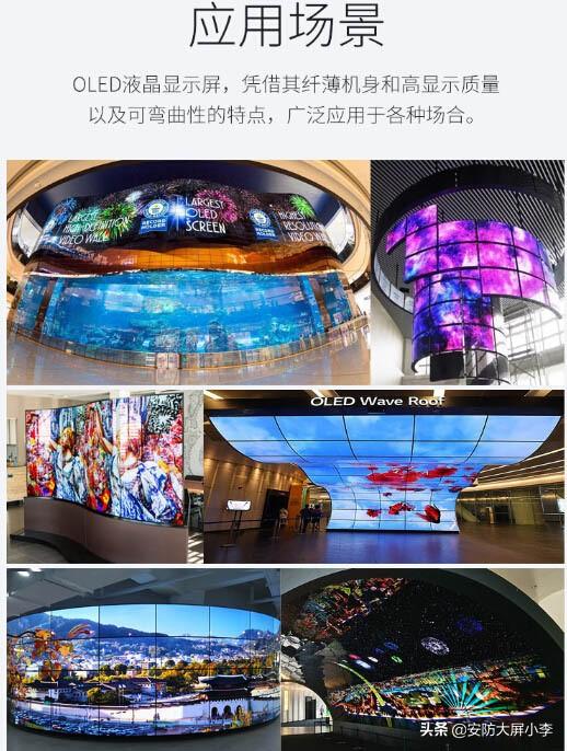 蒼山大蒜頭最新價(jià)格,一場(chǎng)自然美景與美食的旅行探索