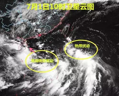 南海最新胚胎91w,高科技引領生活新紀元變革