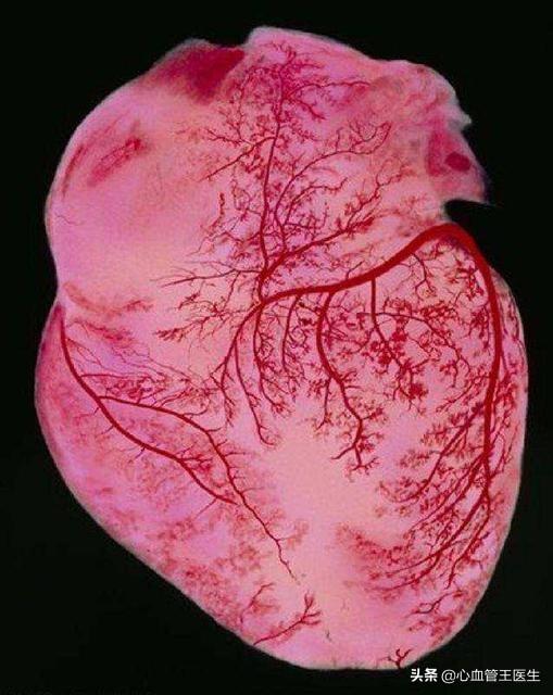 新冠肺炎最新治療進展，研究動態與突破