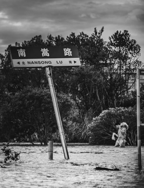 臺風XX最新動態，影響分析及其進展