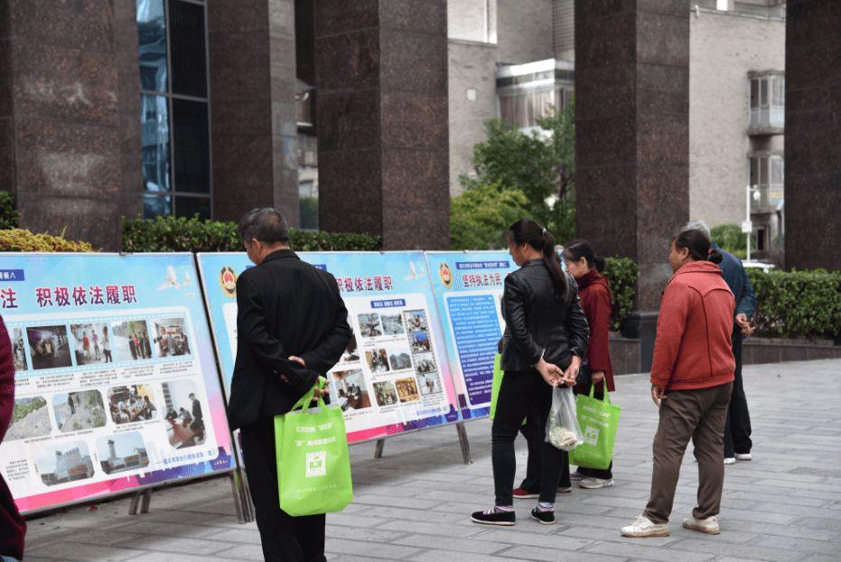 新時代文明養犬規定,引領犬類友好生活新風尚