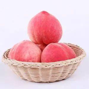 蜜桃匯最新地址揭秘，熱門場所變遷與發展探索