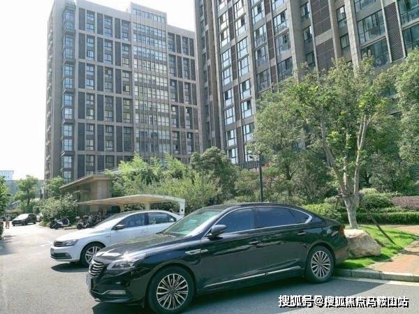 綠色經(jīng)典精盛青稞酒 第67頁