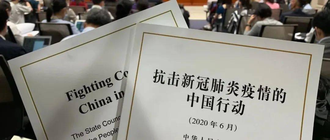 我國新冠肺炎最新動態詳解,全面理解與應對步驟指南