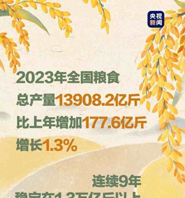 中國最新糧食產量背后的故事,稻田豐收與家的溫暖