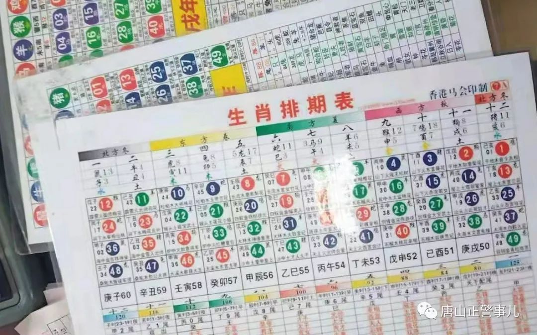 最新六合彩觀點闡述與解析