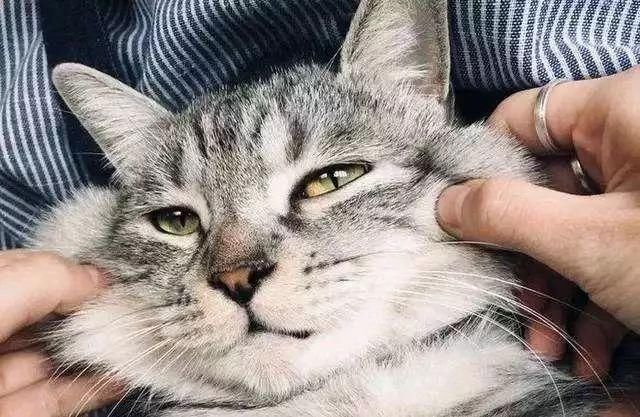 五A添盛坊青稞原漿 第66頁(yè)