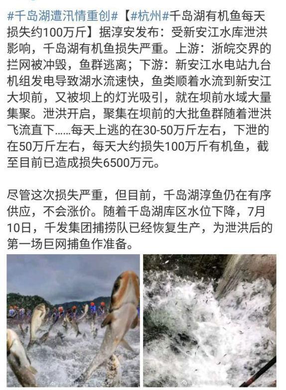 千島湖最新汛情解析及關(guān)注焦點(diǎn)全面梳理