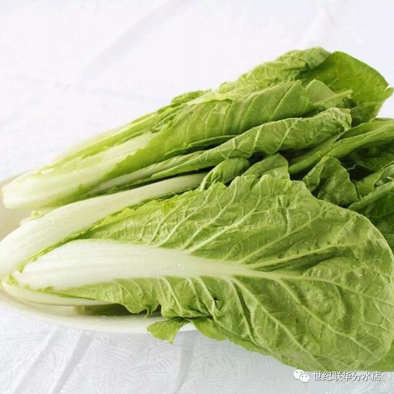 探索新鮮食材樂園,哪個平臺售賣最新鮮的菜品?