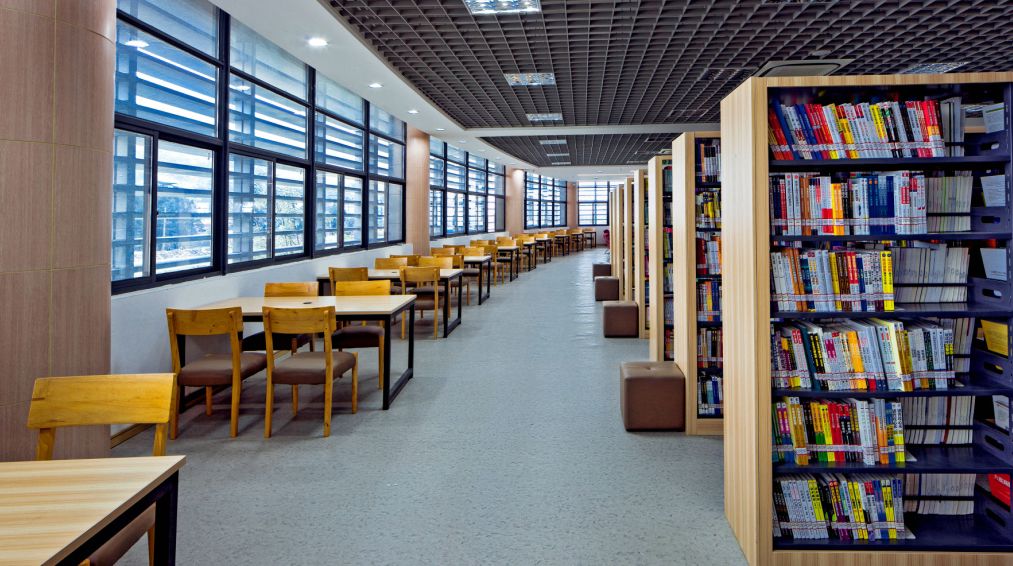 溫州龍灣最新圖書館,小巷中的寶藏,知識的探索樂園