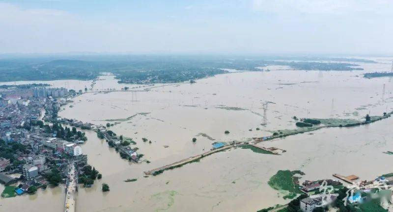 廬江東大圩蓄洪最新情況及論述分析