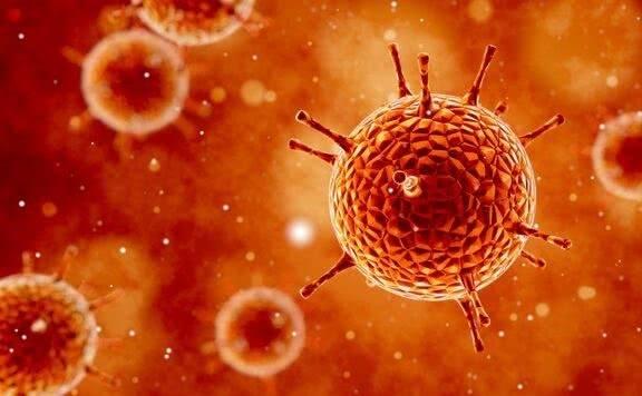 病毒源頭揭秘與最新疫情動態，學習變化中的信心與成就力量