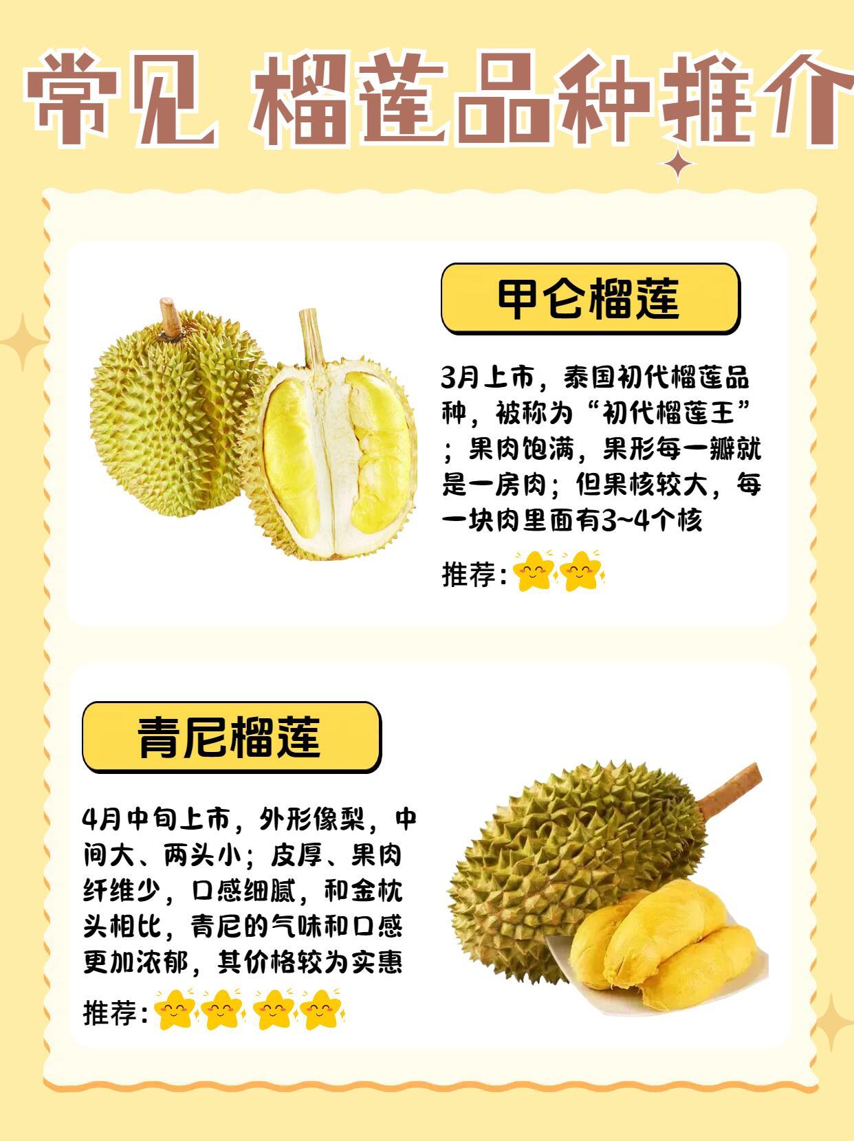 最新榴蓮手機發布，愛的連結與日常趣事的必備良伴