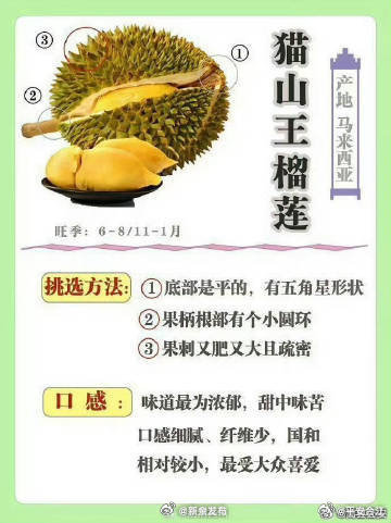 最新榴蓮手機發布,愛的連結與日常趣事的必備良伴