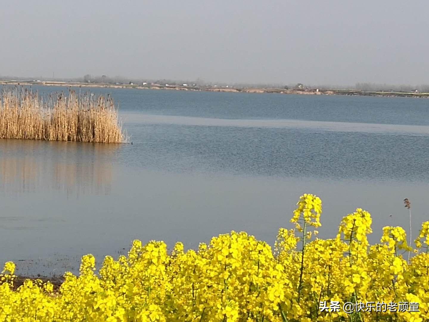 壽縣保義鎮最新視頻觀看指南及視頻概覽