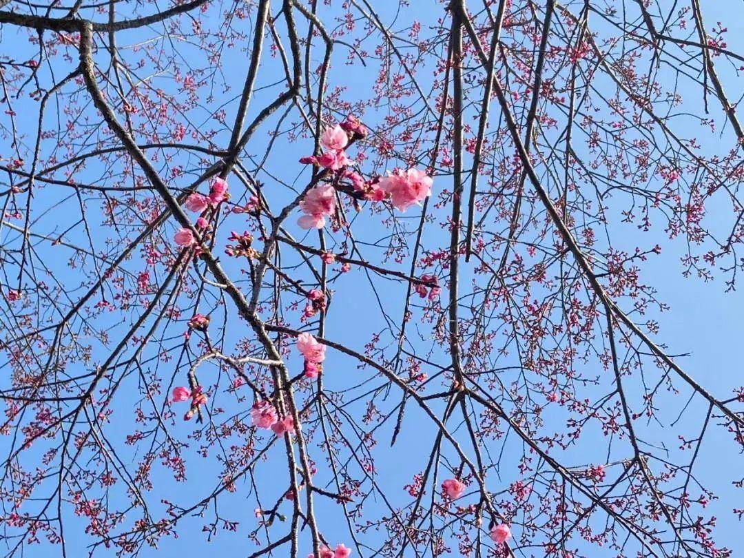 廈門8月天氣超詳細報告,最新氣象信息???