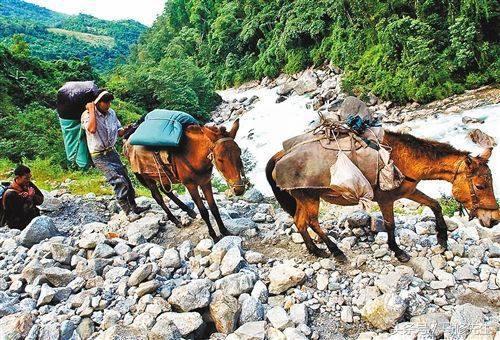 117路最新路線指南,全面解析最新路線信息