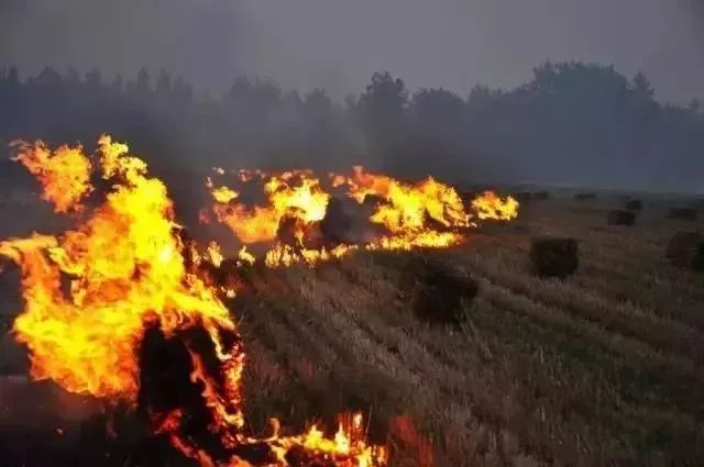 焚燒秸稈最新動態，政策調整、環境影響及解決方案探討