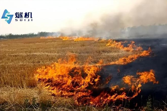 焚燒秸稈最新動態(tài),政策調整、環(huán)境影響及解決方案探討