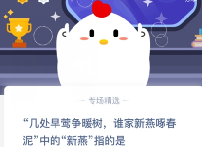 螞蟻莊園今日答案最新臉，重塑自信，開啟夢想新篇章