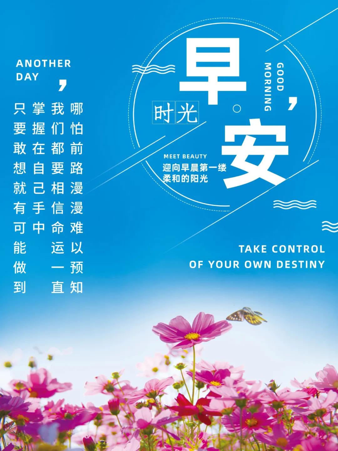 探索科技前沿,最新版的更新步伐揭秘