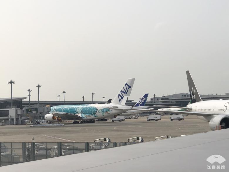 轉機回國最新政策解讀,輕松探索自然美景的旅行指南